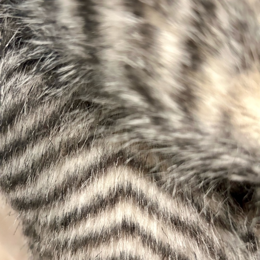 NWT Jack by BB Dakota black and white faux fur vest. Firm hook closures. SZ M - Picture 5 of 6